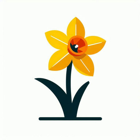 Narcissus flower on a white background. Vector illustration.の写真素材