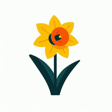 Yellow narcissus flower isolated on white background. Flat style vector illustration.の写真素材