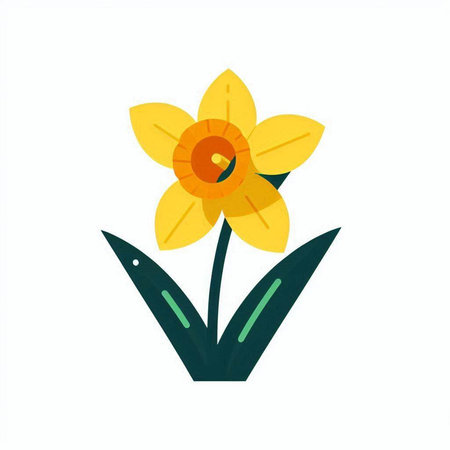 Daffodil flower in flat style on white background. Vector illustration.の写真素材
