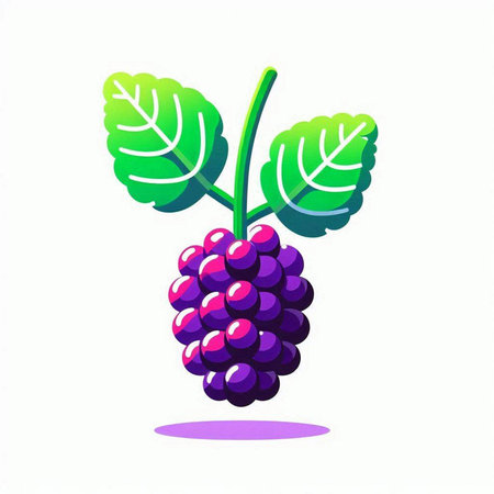 Vector illustration of a bunch of grapes with leaves on a white backgroundの写真素材