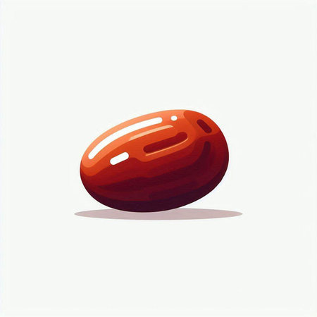 Illustration of a red date fruit isolated on a white background.