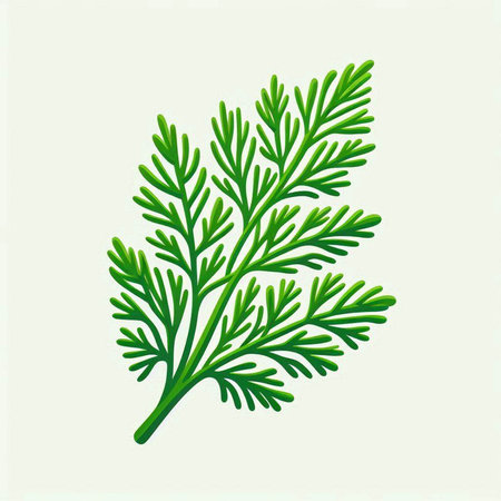 Green dill leaves isolated on white background. Hand drawn vector illustration.