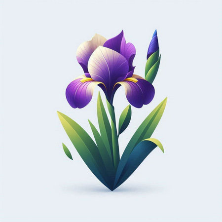 Illustration of iris flower on white background, vector illustration.の写真素材