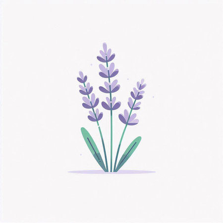 Lavender flower vector illustration. Hand drawn lavender flower.の写真素材