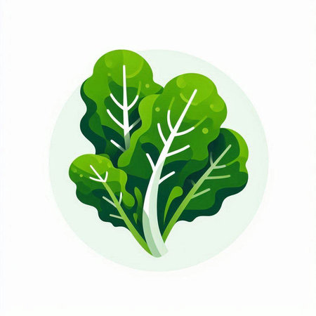 Lettuce vector icon. Lettuce illustration. Lettuce icon. Lettuce icon. Lettuce icon. Lettuce icon....