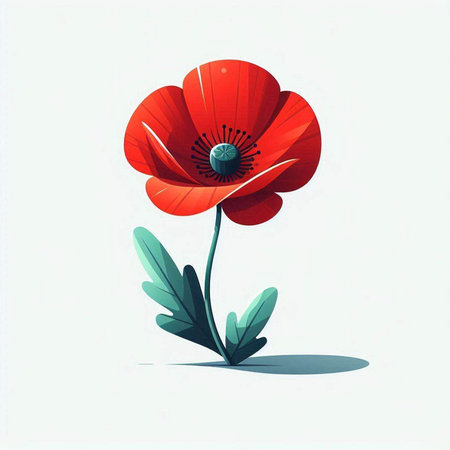Red poppy on a white background, vector illustration, eps 10の写真素材