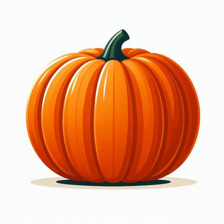 Pumpkin on a white background. Vector illustration for your designの写真素材