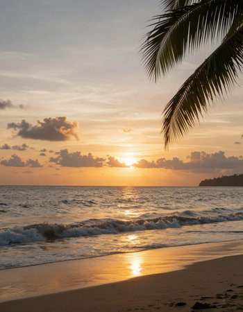 Beautiful sunset on the tropical beach with coconut palm tree leaf.