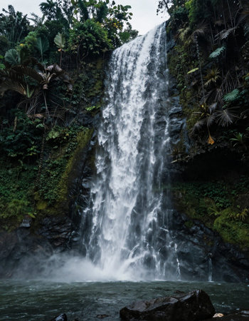 Waterfall in the jungle of Bali, Indonesia. Toned.