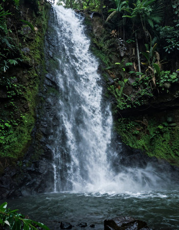Waterfall in the jungle of Bali island, Indonesia, Asiaの写真素材