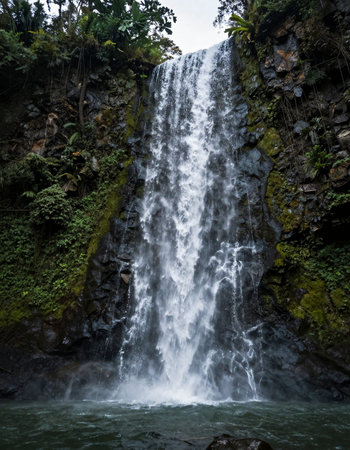 Waterfall in the jungle of Bali island,Indonesia