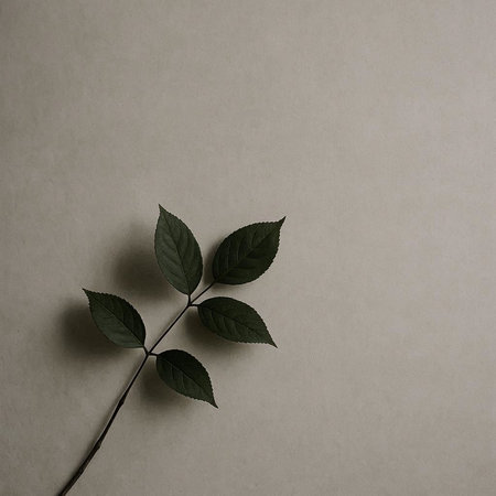 Green leaves on a gray background. Flat lay, top view.