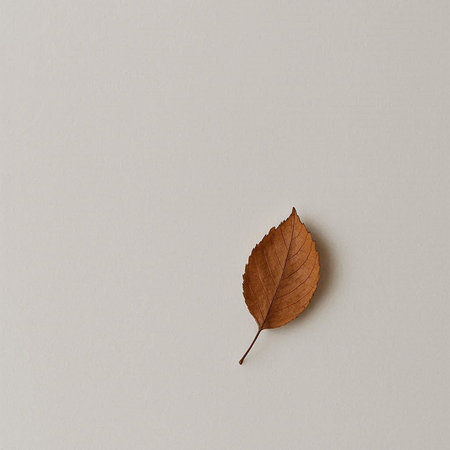 Autumn leaf on gray background. Minimal concept. Flat lay, top view.