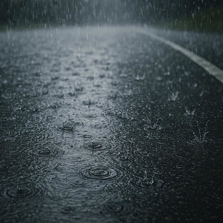 Raindrops on the asphalt road. Rainy weather. Rainy day.