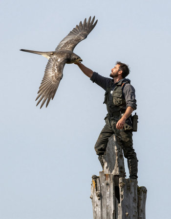 Eagle Hunter on top of a tree in Kiev, Ukraine