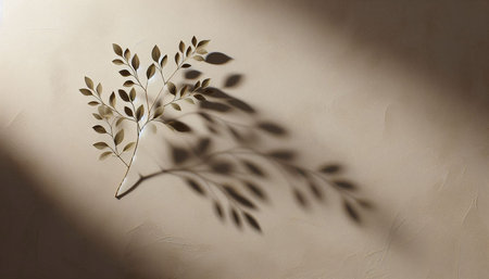 Flower shadow on a beige wall. The shadow of the plant.