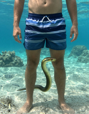 Underwater shot of a man with a snake in his hand.