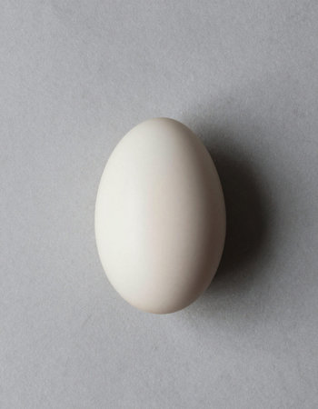 White egg on a gray background. Flat lay, top view.