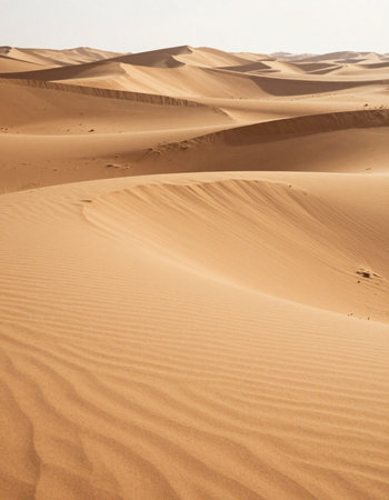 the empty quarter  and outdoor  sand  dune in oman old desert rub al khali