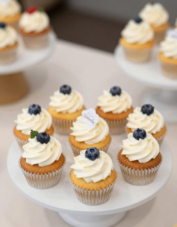Cupcakes decorated with whipped cream and blueberries on a white plateの写真素材