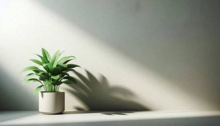 Green plant in pot on white wall background. 3d rendering.