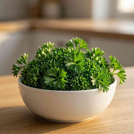 Fresh parsley in a white bowl on a wooden table in the kitchen