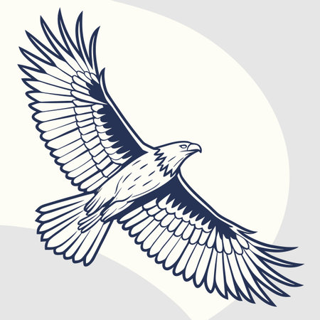 Eagle in flight. Vector illustration of a bird of prey.のイラスト素材