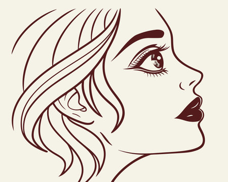 beautiful woman face, vector illustration in a linear style, profile viewのイラスト素材
