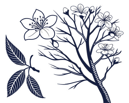 Vector illustration of a cherry blossom branch with leaves and flowers.のイラスト素材