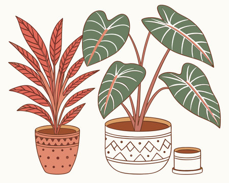 Set of decorative houseplants in pots. Hand drawn vector illustration.のイラスト素材