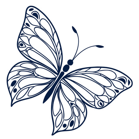 butterfly, isolated on a white  background. vector illustrationのイラスト素材