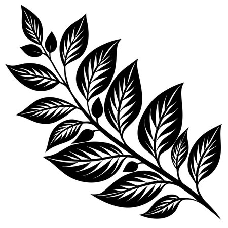 Black and white leaves design, Plant floral garden nature decoration ornament and season theme Vector illustrationのイラスト素材