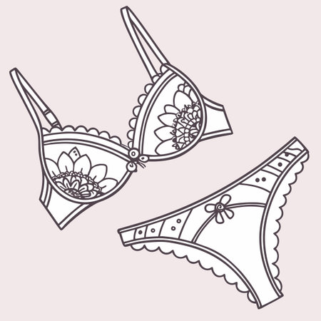 Lingerie set. Lingerie bra and panties. Vector illustration.のイラスト素材