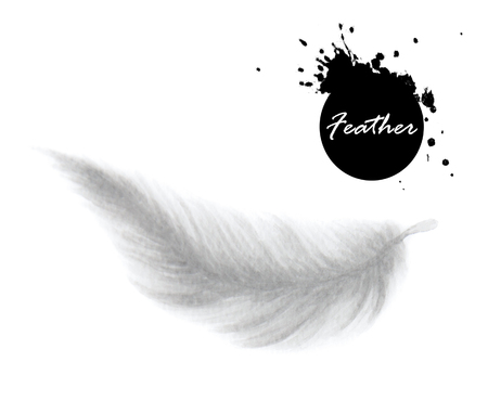 Watercolor feather on white backgroundの写真素材