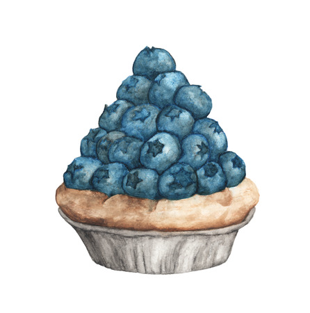 Blueberry tart isolated on white background, Hand Drawn and Painted. watercolor illustrationの写真素材