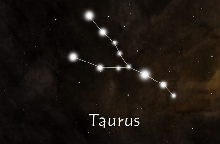 Taurus horoscope or zodiac or constellation illustrationの写真素材