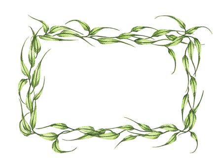 Watercolor hand painted banner with green leaves and branches isolated on white background. Spring or summer flowers for invitation, wedding or greeting cards. Green leaves wreath.の写真素材