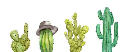 Set of Cactus isolated on white background. Hand painted watercolor elements for your design.の写真素材