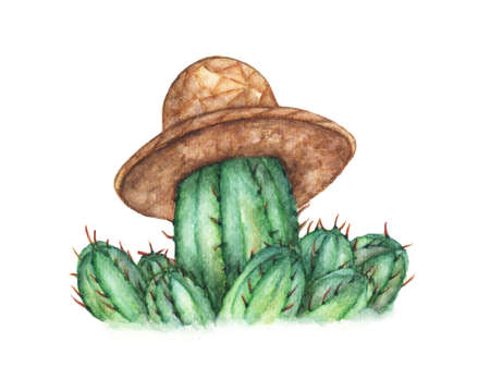 Cactus with straw hat on white background,  illustrationの写真素材