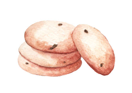 Hand drawn watercolor delicious cookie with chocolate drops, isolated on white background. Food illustration.の写真素材