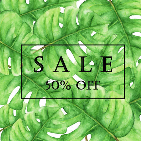 Sale banner, poster with green monstera leaves, jungle leaf. Beautiful floral tropical summer background, Hand painted watercolorの写真素材