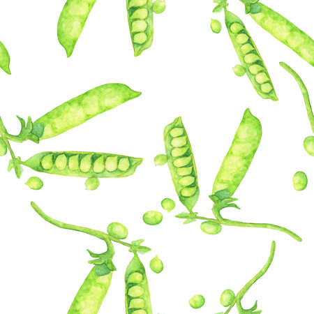 Seamless watercolor illustration of Peas on white background.の写真素材