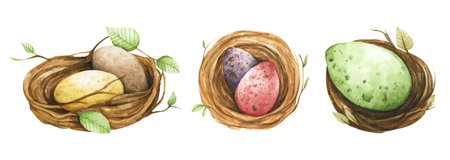 Set of Easter eggs in nest. Isolated on white background. Design elements for holiday cards. Happy Easter. Watercolor illustration.の写真素材