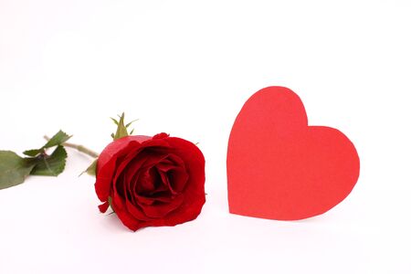 Roses and hearts on Valentine's Day on a white background that can be cut separately.の写真素材