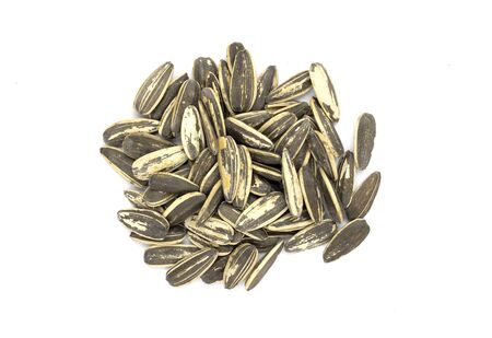 Sun Flower seed isolated on white backgroundの写真素材