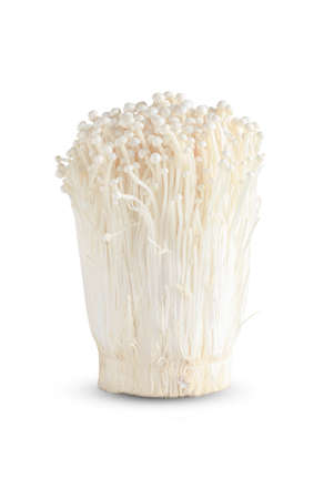 Garlic isolated on white background