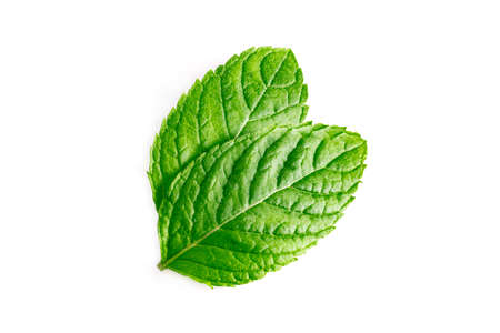Mint leaves, mint leaves isolated on white background