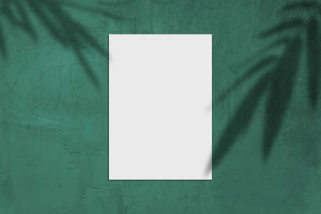 Blank white vertical rectangular poster mockup with light shadow on green concrete wall background.design spaceの写真素材