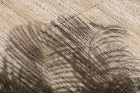 Shadow of coconut leaves on wooden surface, outdoorの写真素材