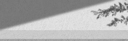 Concept of leaf shadow and light on gray cement surface. Cement roomの写真素材